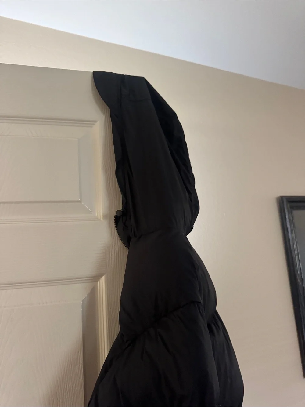 The North Face Black Down Puffer Coat